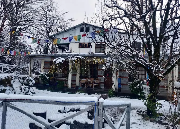 Mars Monkey Hostel & Cafe Manali 