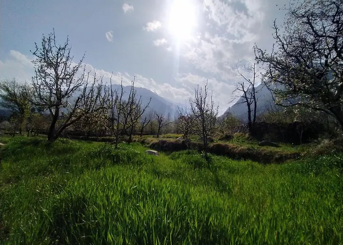 Farm Hostel & Camps Manali 